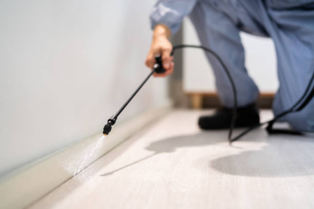 Bed Bug Pre-Treatment Preparation Assessment in Forestville