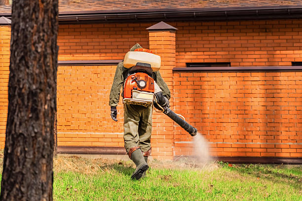 Bed Bug Clearance Verification and Documentation in Forestville